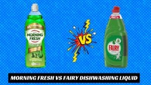 Morning Fresh vs Fairy Dishwashing Liquid