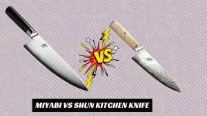 Miyabi vs Shun Kitchen Knife
