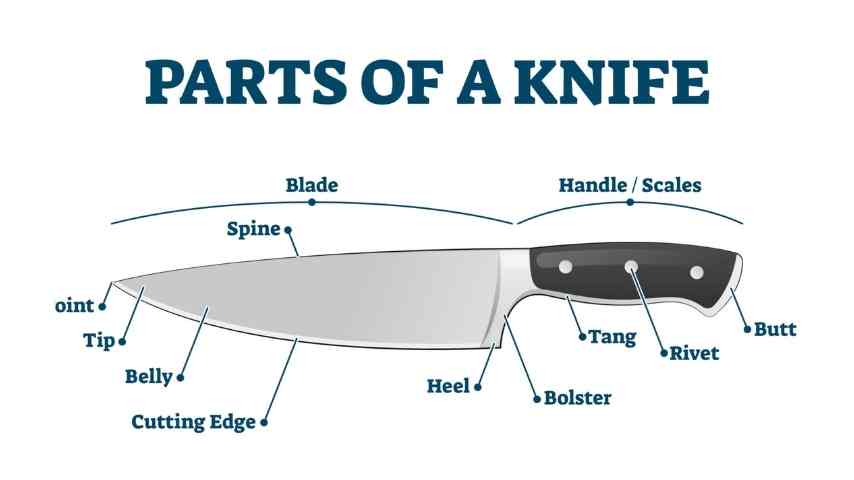 Parts of a Knife