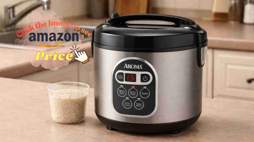 Aroma ARC-302NGBL budget rice cooker first kitchen