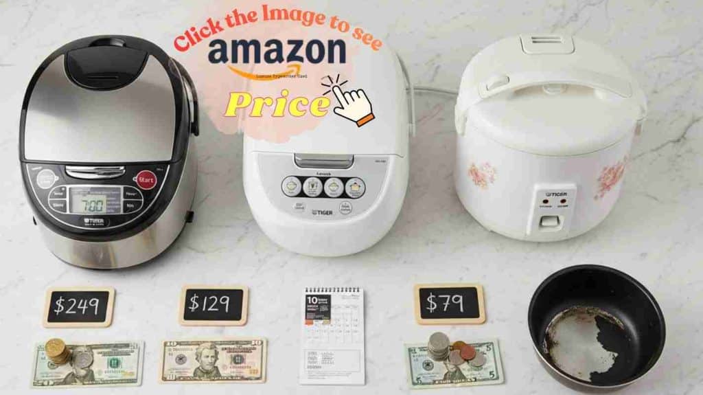Tiger JAX, JBV, JNP cookers, price tags, coins, pot

