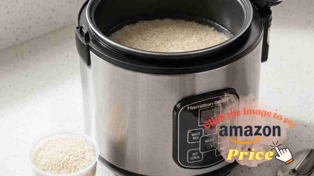 Raw rice inside the Hamilton Beach cooker inner pot.