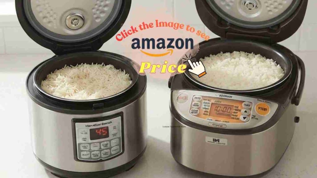Hamilton Beach and Zojirushi rice texture comparison scene.