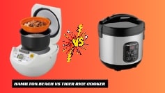 Hamilton Beach vs Tiger | Which  Rice Cooker Is Better?